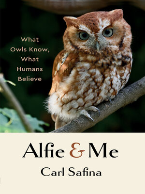 cover image of Alfie and Me